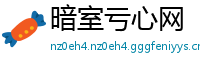 暗室亏心网